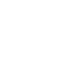 pn-icon